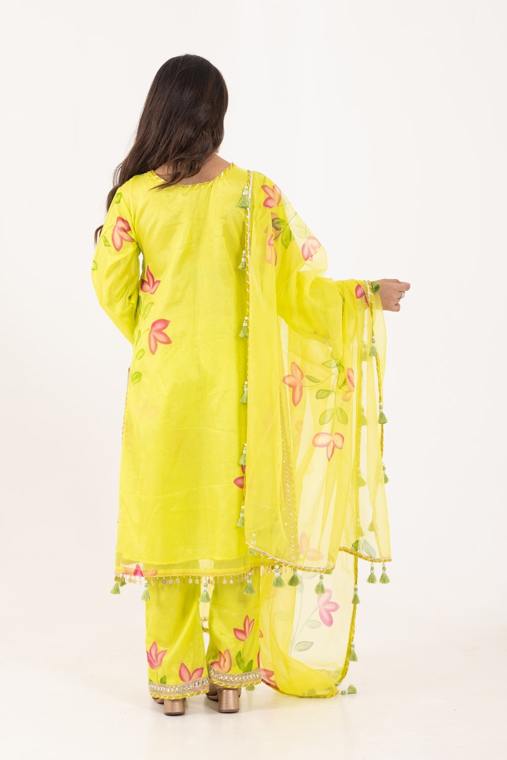 Jashn- Lime Green Organza Suit Set