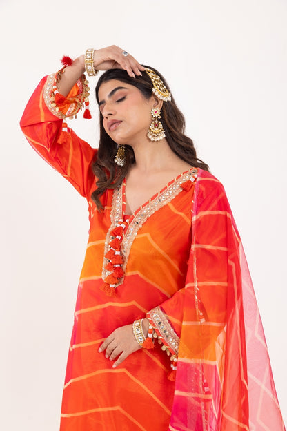 Jashn- Fruity Orange Organza Suit Set