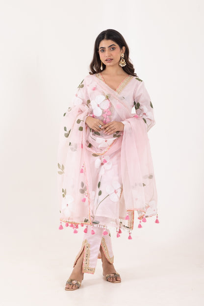 Jashn- Light Pink Organza Suit Set