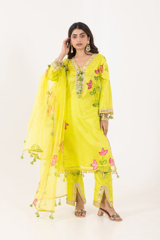 Jashn- Lime Green Organza Suit Set