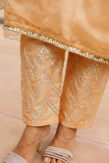 Pastel Peach Organza Kurta Set with Intricate Gota Embroidered Dupatta