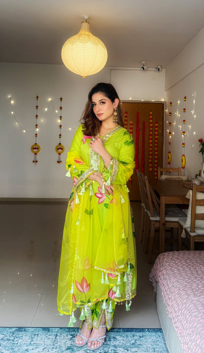Jashn- Lime Green Organza Suit Set