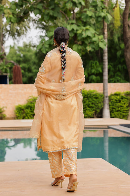 Pastel Peach Organza Kurta Set with Intricate Gota Embroidered Dupatta
