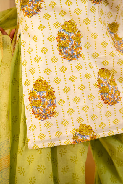Mint Green Cotton Suit Set with Farshi Salwar