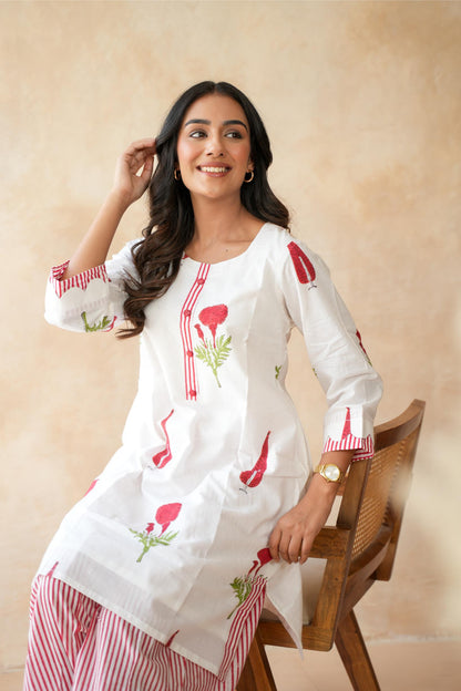 Gulnaar Farshi Kurta Set