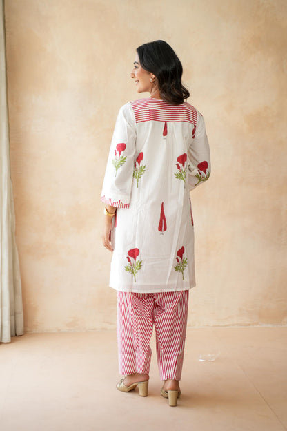 Gulnaar Farshi Kurta Set