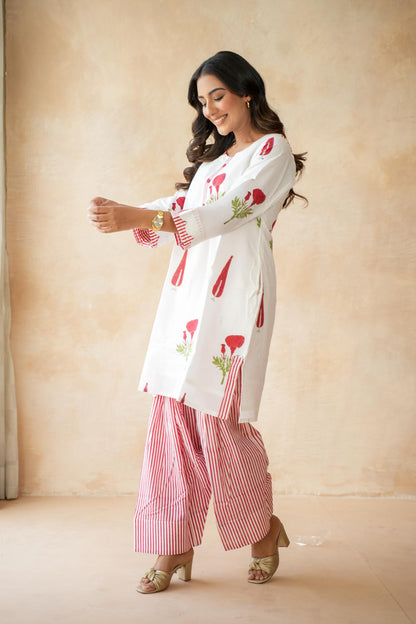 Gulnaar Farshi Kurta Set