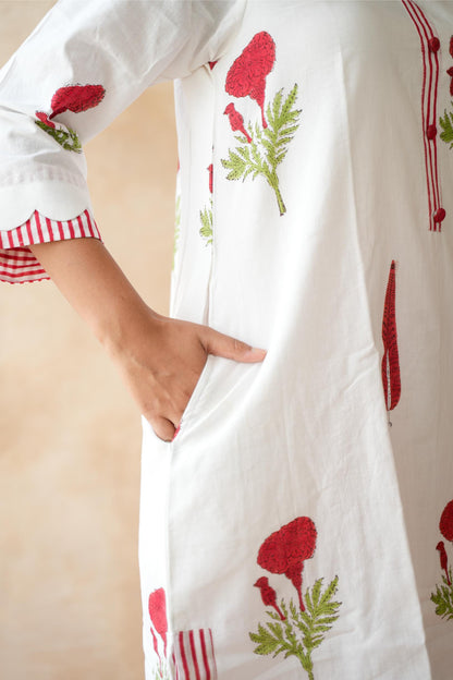 Gulnaar Farshi Kurta Set