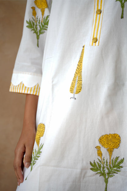 Mehr Farshi Kurta Set