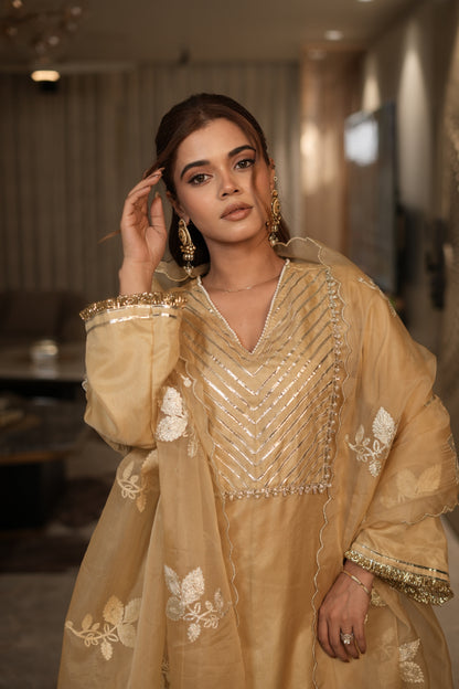 Beige Golden Organza Kurta Set with Intricate Gota Embroidered Dupatta